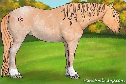 Horse Color:Watercolor Liver Chestnut Ice