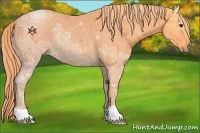 Horse Color:Watercolor Liver Chestnut Ice 