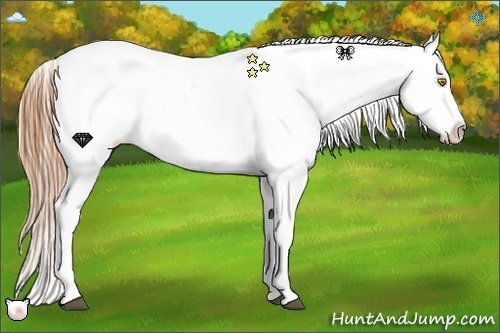 Horse Color:Bay Roan Pearl Sabino Snowflake VarnishRabicano 