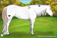 Horse Color:Bay Roan Pearl Sabino Snowflake VarnishRabicano 