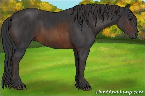 Horse Color:Brown Rabicano  Brindle