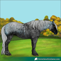 Horse Color:ERROR: UNKNOWN ANOMALY and ERROR: UNKNOWN ANOMALY