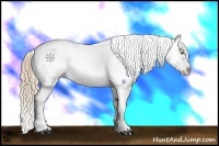Horse Color:Liver Chestnut Pearl Sabino Frame Appaloosa 