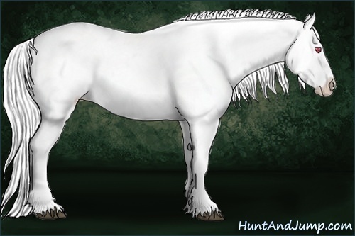 Horse Color:White Spotted Silver Black Chinchilla Blanket Rabicano 