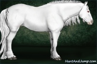 Horse Color:White Spotted Silver Black Chinchilla Appaloosa Rabicano