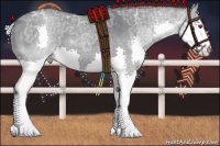 Horse Color:Silver Smoky Blue Chinchilla Ice Roan Splash 