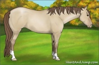Horse Color:Grullo Pearl 