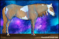 Horse Color:Gray White Spotted Smoky Black Brindle