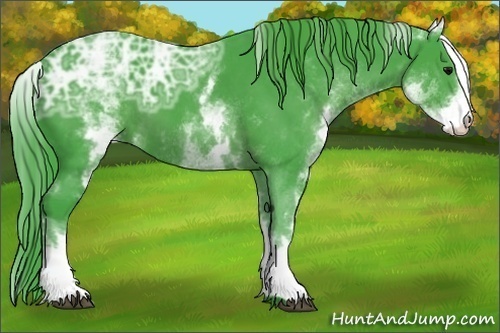 Horse Color:Watercolor White Spotted Black Ice 