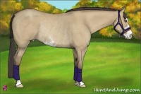 Horse Color:Classic Champagne Dun Sabino Rabicano 