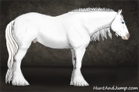 Horse Color:Silver Grullo Sabino Splash Appaloosa 