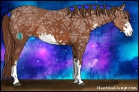 Horse Color:Chestnut Ice Sabino 