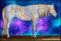 Horse Color:Gray White Spotted Black Brindle