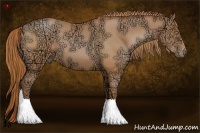 Horse Color:Bay Ice Pearl 