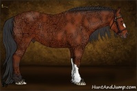 Horse Color:Bay Ice 
