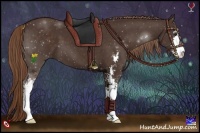 Horse Color:Liver Chestnut Sabino 
