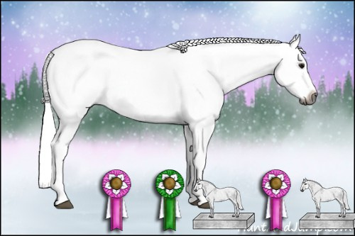 Horse Color:Gray Bay Sabino Splash