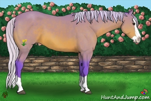 Horse Color:Watercolor Silver Bay Splash 