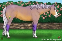 Horse Color:Watercolor Silver Bay Splash