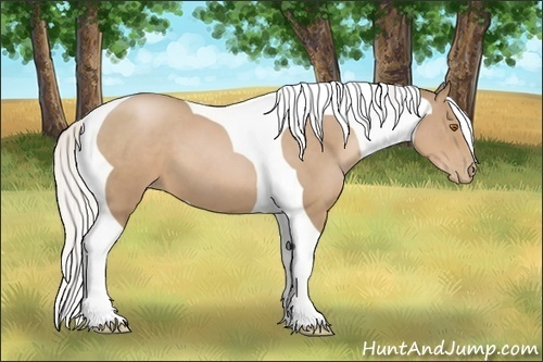 Horse Color:Silver Black Pearl Tobiano