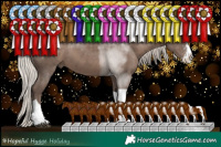 Horse Color:Silver Black Sabino Splash Tobiano