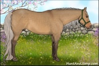 Horse Color:Silver Bay Dun 