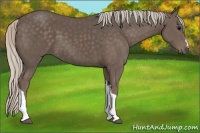 Horse Color:Silver Black 