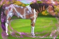 Horse Color:Bay Tobiano 