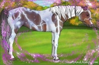 Horse Color:Bay Tobiano