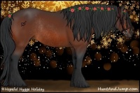 Horse Color:Bay Rabicano 