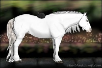 Horse Color:Palomino Varnish