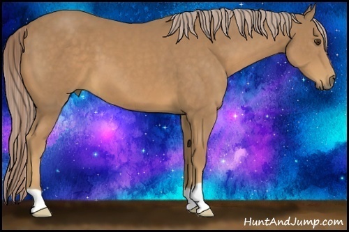 Horse Color:Palomino 
