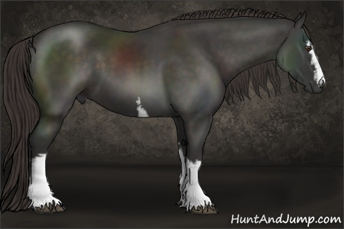 Horse Color:White Spotted Liver Chestnut Sabino 