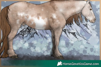 Horse Color:Liver Chestnut Ice Pearl Frame 