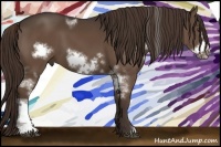 Horse Color:White Spotted Liver Chestnut Sabino Frame 