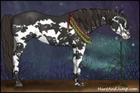 Horse Color:Liver Chestnut Splash 