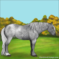 Horse Color:Silver Brown Chinchilla Roan