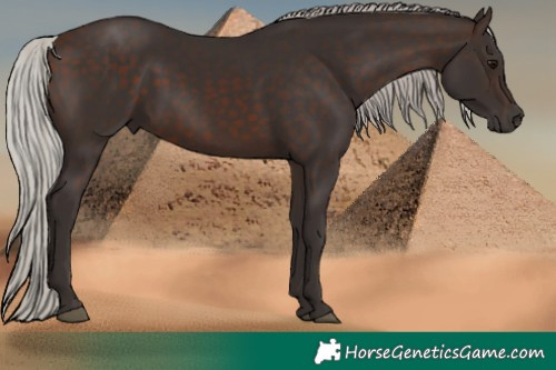 Horse Color:Silver Brown 
