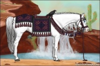 Horse Color:Liver Chestnut Frame