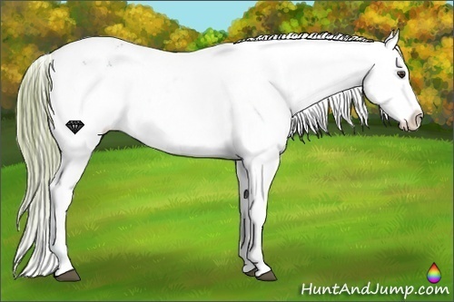 Horse Color:Watercolor Liver Chestnut Frame Varnish 