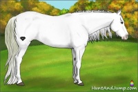 Horse Color:Watercolor Liver Chestnut Frame Varnish 