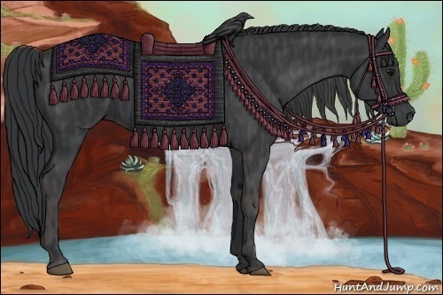Horse Color:Black  Brindle