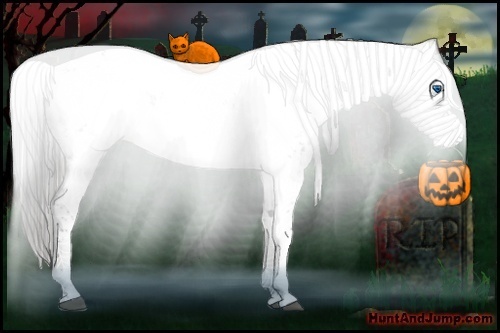 Horse Color:Liver Chestnut Frame 