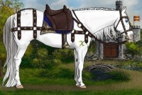 Horse Color:Liver Chestnut Frame 