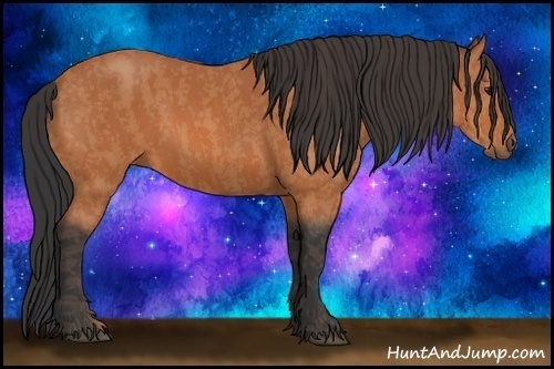Horse Color:Bay  Brindle