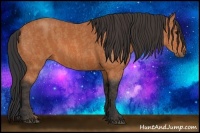 Horse Color:Bay  Brindle