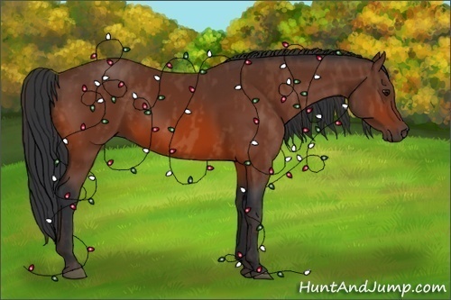 Horse Color:Bay Brindle