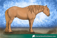 Horse Color:Chestnut  Brindle