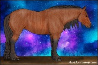 Horse Color:Bay Roan Brindle