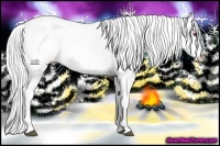 Horse Color:Silver Black Chinchilla Splash Appaloosa